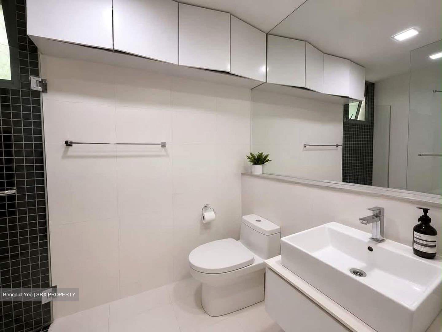 Ferraria Park Condominium (D17), Condominium #587213531